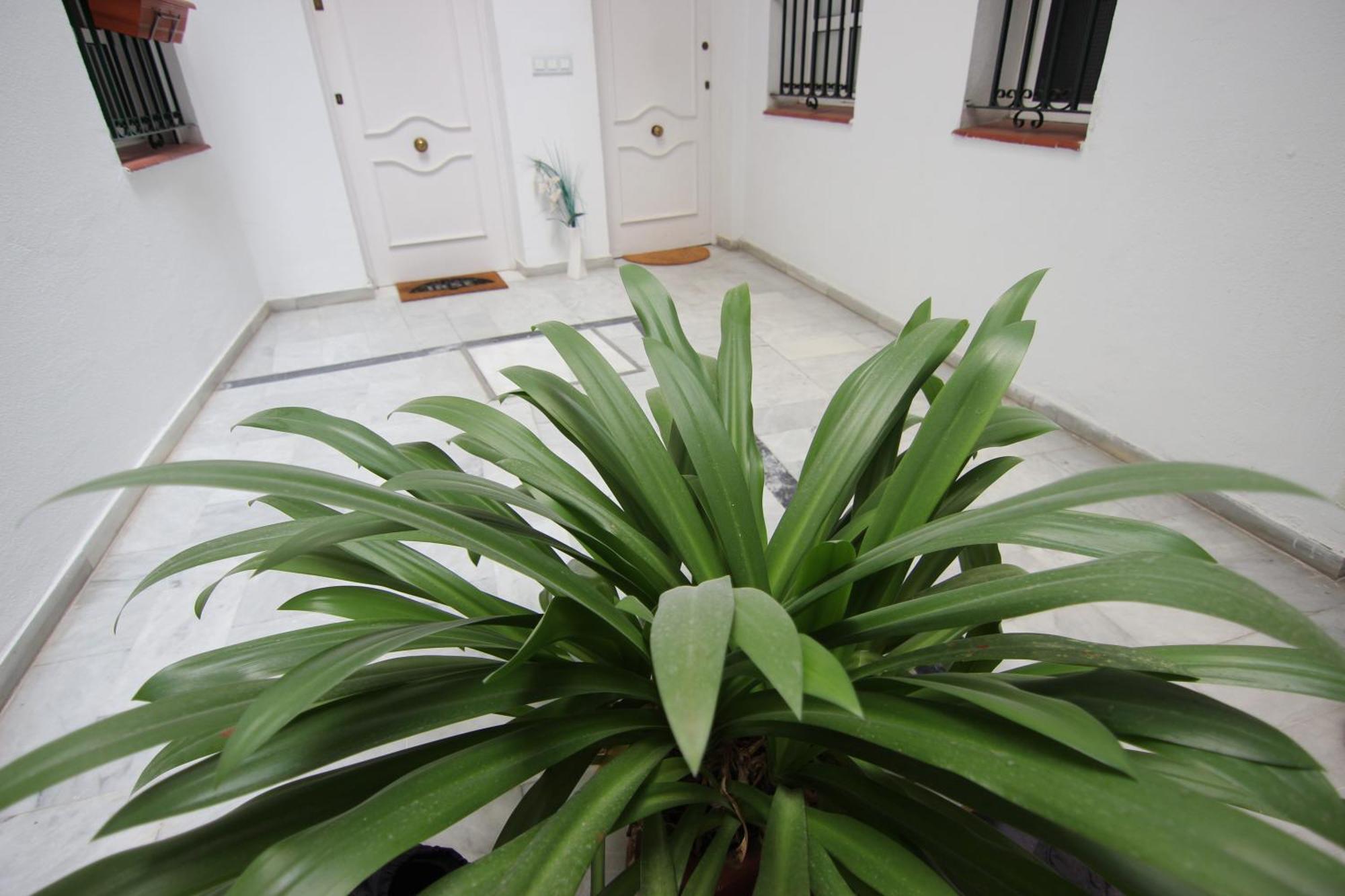 Apartamento Corazon De Triana Sevilla Eksteriør billede