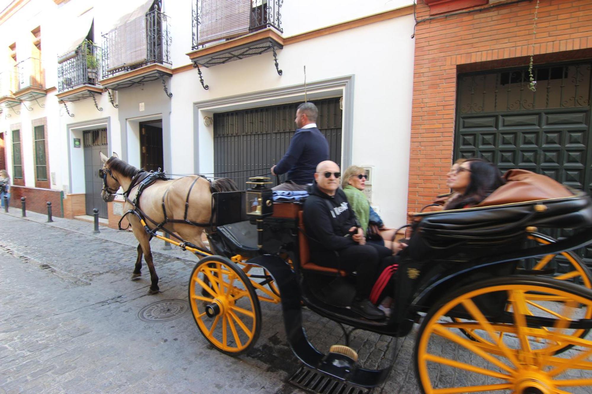 Apartamento Corazon De Triana Sevilla Eksteriør billede